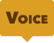 Voice